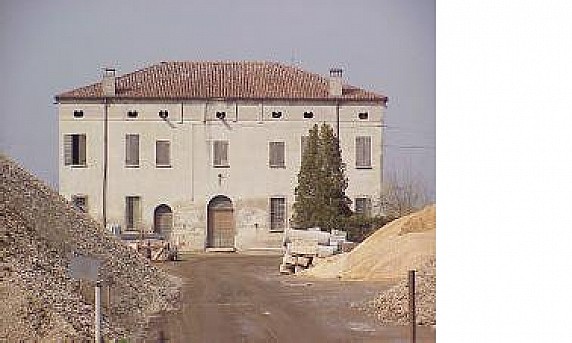 34lebionde.JPG