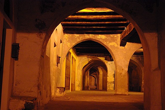 IMGP2718
