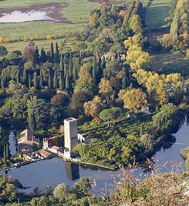 ninfa001