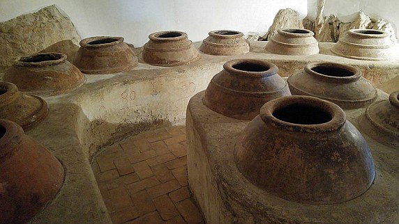 Museo Civico Archeologico_Olearia01