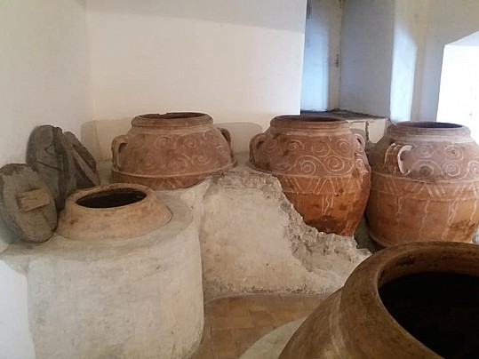 Museo Civico Archeologico_Olearia02